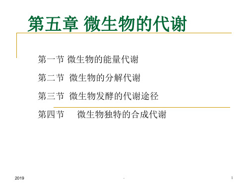 柠檬酸发酵ppt课件