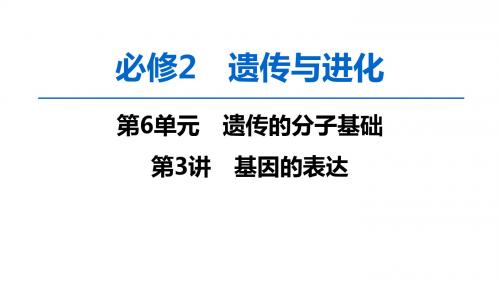 高考生物一轮复习第6单元第3讲基因的表达课件