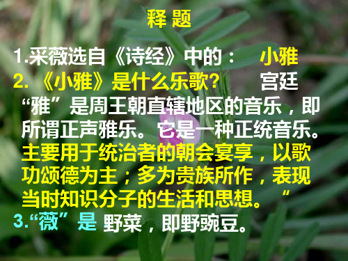 高一语文必修2《采薇》