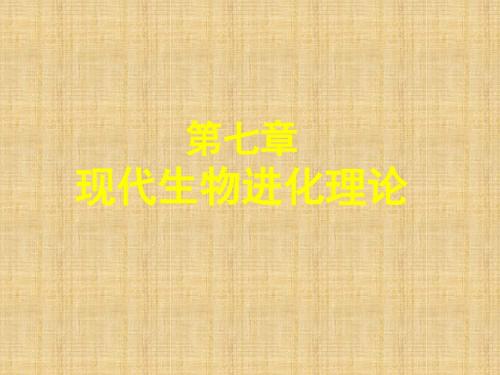 高考生物第一轮复习第讲现代生物进化理论课件新人教版必修