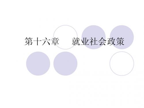 第十六章_就业社会政策