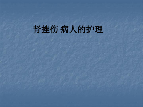 肾挫伤 病人的护理ppt课件