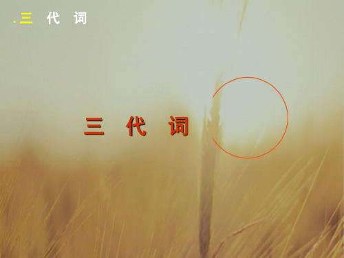 广东省广州市2018高考高三英语语法一轮复习精讲精练课件：单项填空代词 含答案