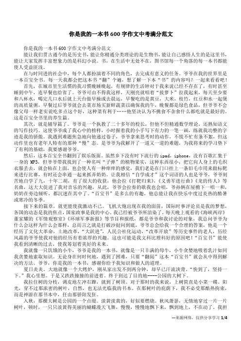 你是我的一本书600字作文中考满分范文