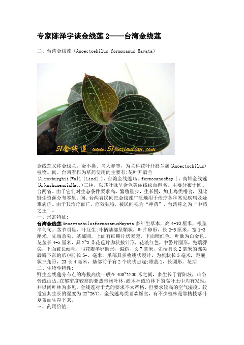 识别金线莲