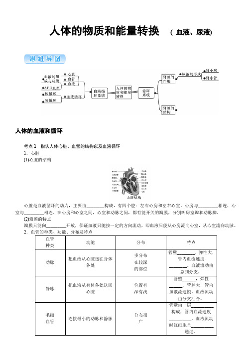 浙教版中考科学总复习-人体的物质和能量转换