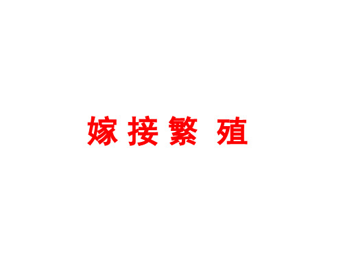 苗木的嫁接繁殖
