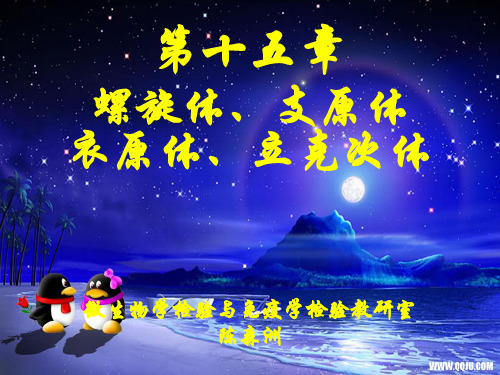 1-第15章 螺旋体、支原体、衣原体、立克次体