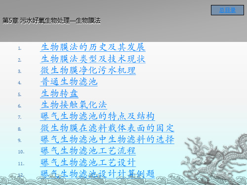 《生物膜法》PPT课件 (2)