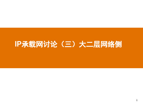 IP承载网讨论(三) 大二层网络侧
