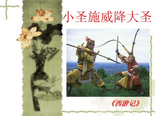 小圣施威降大圣