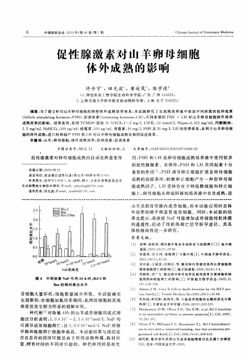 促性腺激素对山羊卵母细胞体外成熟的影响