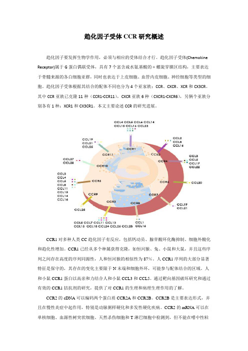 趋化因子受体CCR研究概述