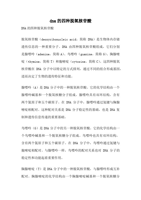 dna的四种脱氧核苷酸
