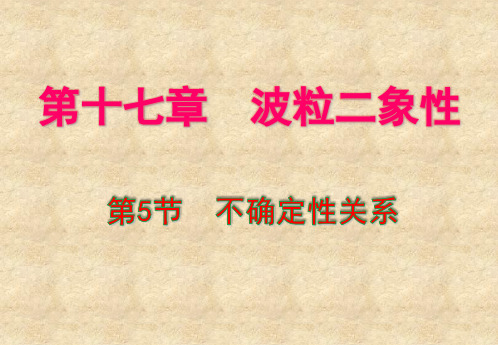 人教版高二物理选修3-5  17.5不确定性关系 课件(11张PPT)