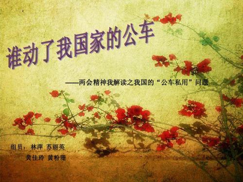 公车私用