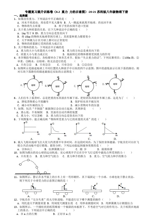 专题复习提升训练卷(8.2 重力 力的示意图)—2020-2021学年苏科版八年级物理下册(有答案)