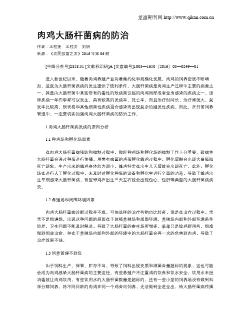 肉鸡大肠杆菌病的防治