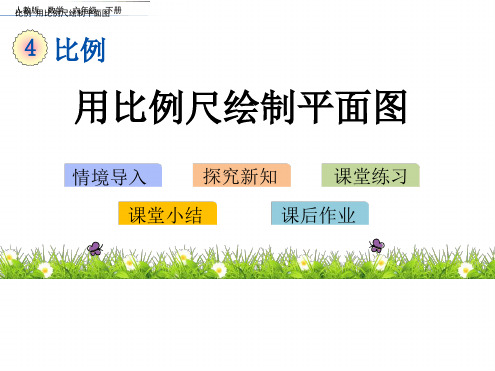 人教版用比例尺绘制平面图课件共15张