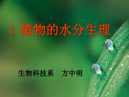 1植物的水分生理
