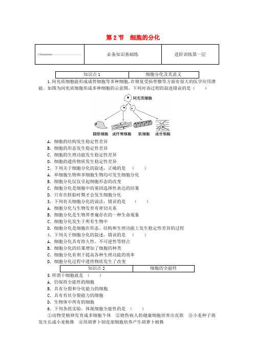 2023_2024学年新教材高中生物第6章细胞的生命历程6