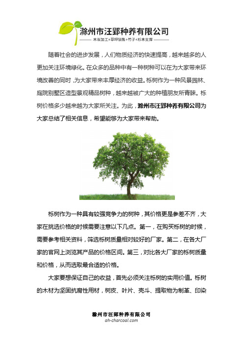 栎树价格多少