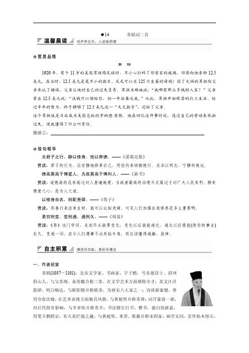 《苏轼词二首》精品导学案(含答案解析)