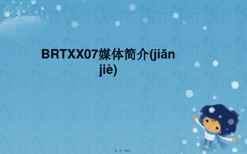 BRTXX07媒体简介