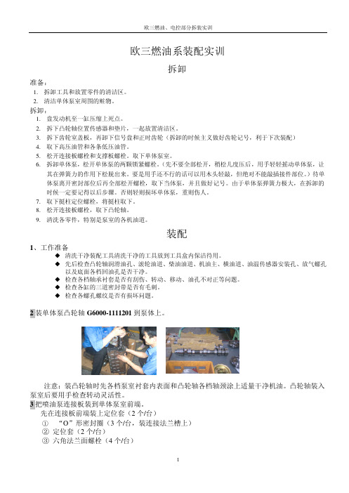 Delphi单体泵培训拆装手册