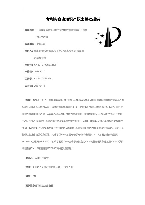 一种穿梭质粒及构建方法及其在集胞藻转化外源基因中的应用[发明专利]