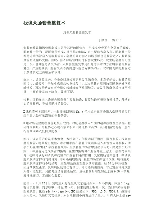 浅谈犬肠套叠整复术