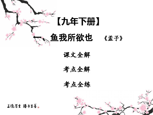 2019中考课内文言文专题复习语文课件：9下 一 鱼我所欲也(共53张PPT)