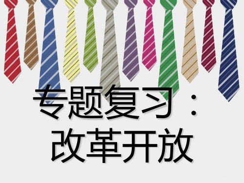 专题复习改革开放