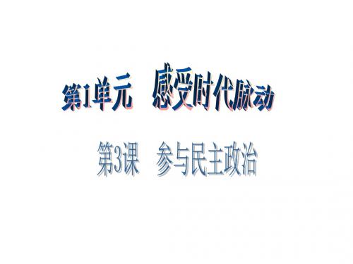 九年级思想品德全册(北师大版)课件：第3课 第1站 人民