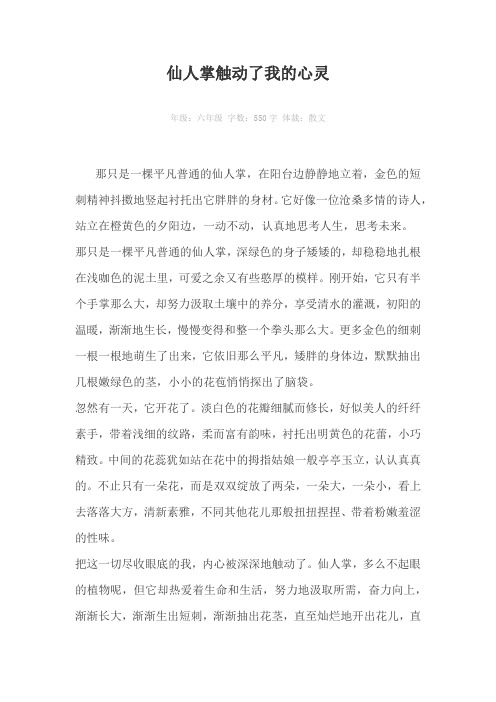 仙人掌触动了我的心灵550字作文