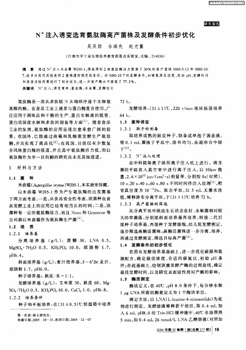 N +注入诱变选育氨肽酶高产菌株及发酵条件初步优化