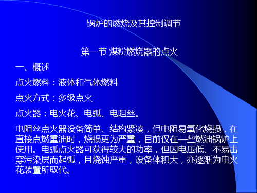 燃烧器的点火器