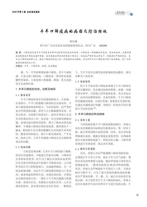 牛羊口蹄疫病的病因及防治措施