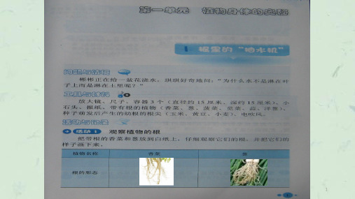 粤教版小学五年级科学同步活动册答案课件