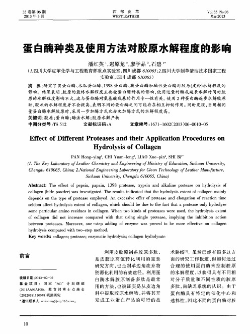 蛋白酶种类及使用方法对胶原水解程度的影响