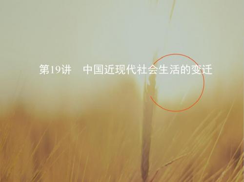 2019届高三历史一轮课件：第19讲 中国近现代社会生活