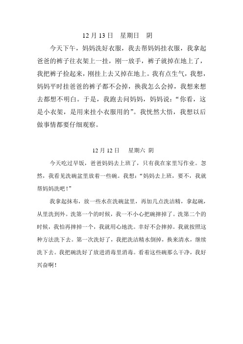 日记 Microsoft Word 文档
