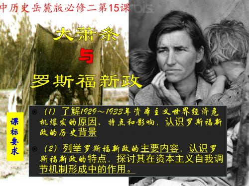 高中历史岳麓版必修二第三单元第15课大萧条与罗斯福新政课件(共17张PPT)