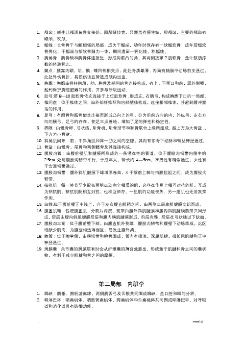 解剖名词解释