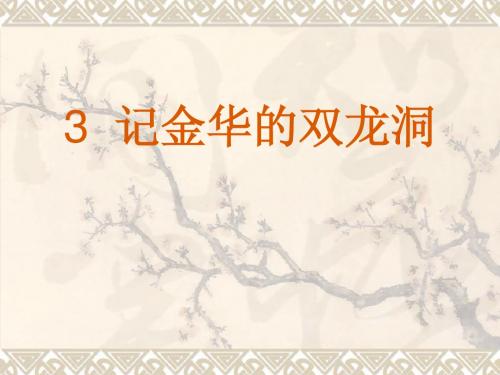 记金华的双龙洞