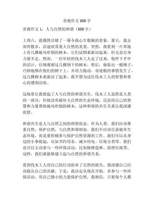 旁观作文800字