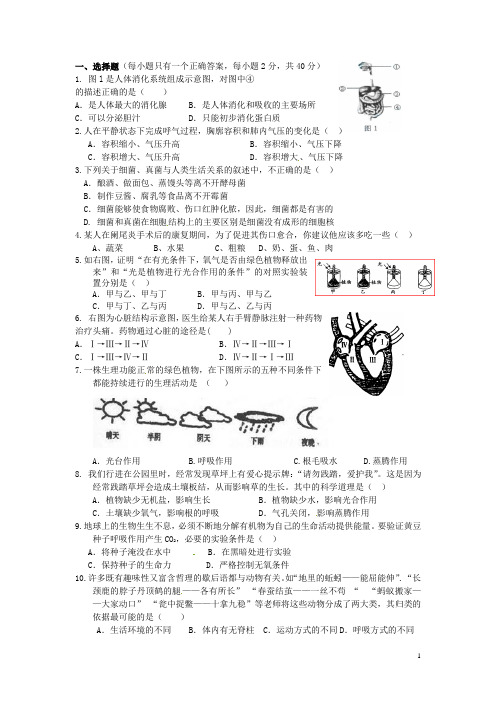 广东省深圳市福田云顶学校中考生物复习课外作业 “生物的新陈代谢”(无答案)