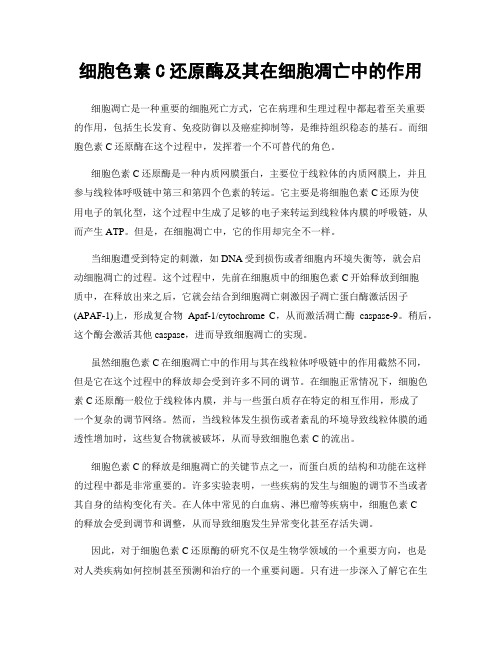 细胞色素C还原酶及其在细胞凋亡中的作用