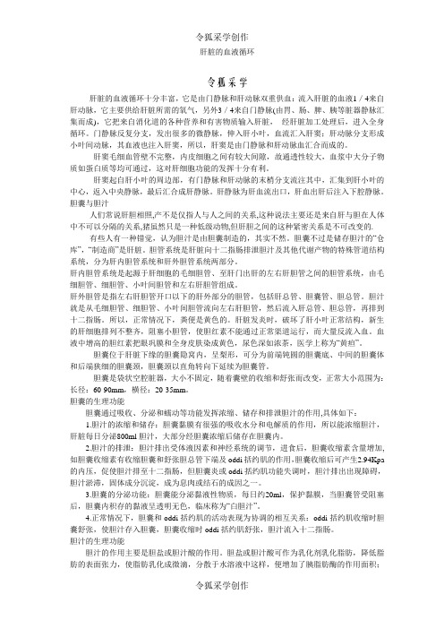 肝脏血液循环途径
