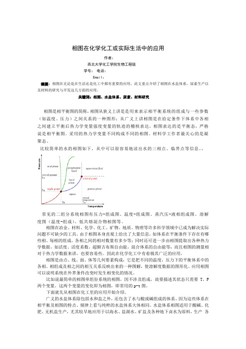 物化论文